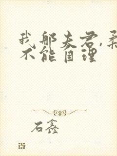 我那夫君,柔弱不能自理