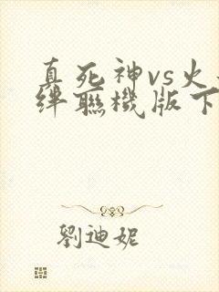真死神vs火影绊联机版下载