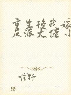 重生后我嫁给了反派大佬 小说