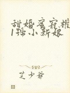 甜婚蜜宠权少的1号小新娘