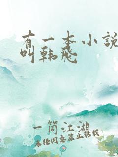 有一本小说主角叫韩飞