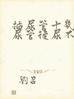 插尿管十几天拔尿管后尿不出来怎么办