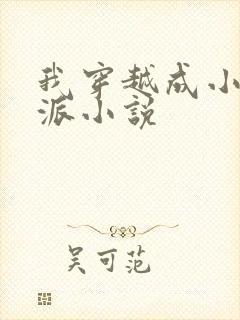 我穿越成小说反派小说