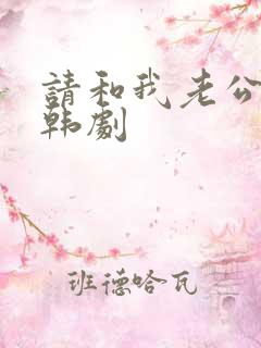 请和我老公结婚韩剧