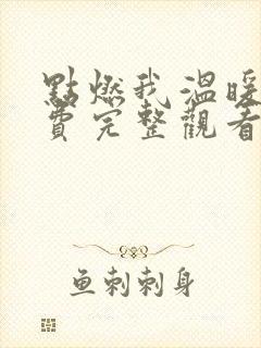 点燃我温暖你免费完整观看