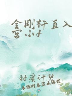 金刚杵直入莲花宫小f