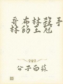 哥布林杀手哥布林的王冠