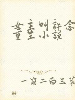 女主叫许念初的重生小说