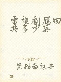 电视剧雁回时一共多少集