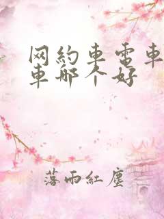 网约车电车和油车哪个好