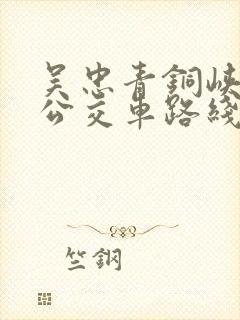 吴忠青铜峡3路公交车路线