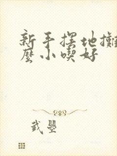 新手摆地摊卖什么小吃好