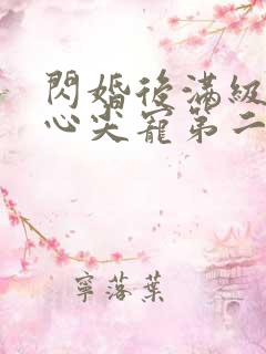 闪婚后满级大佬心尖宠第二部