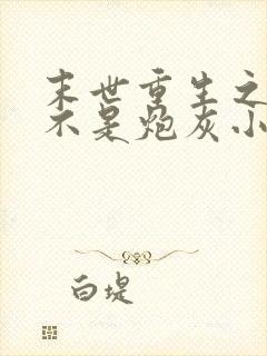 末世重生之我可不是炮灰小说