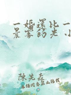 一婚还比一婚高晨雾的光 小说