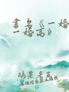 书名《一婚还比一婚高》