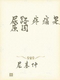 尿路疼痛是什么原因