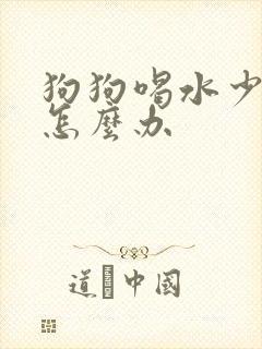 狗狗喝水少尿黄怎么办