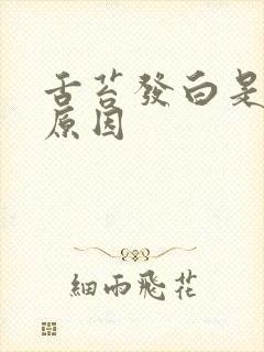 舌苔发白是什么原因