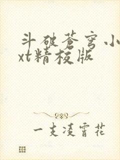 斗破苍穹小说txt精校版