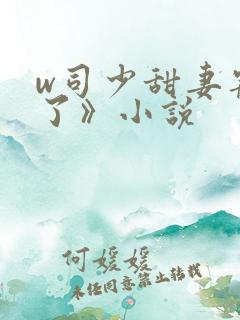 w司少甜妻宠定了》小说