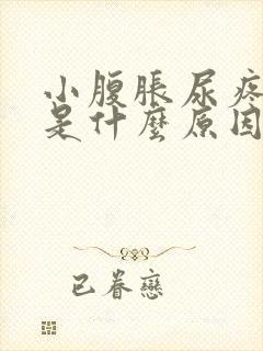 小腹胀尿疼尿频是什么原因