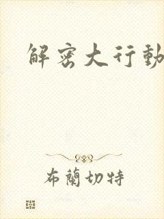 解密大行动