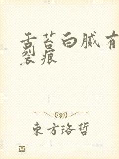 舌苔白腻有齿痕裂痕