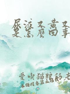 尿液又黄又浑浊是怎么回事