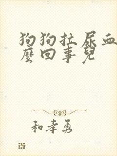 狗狗拉尿血是怎么回事儿