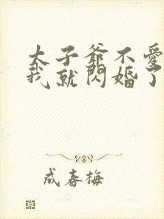 太子爷不爱我那我就闪婚了结局