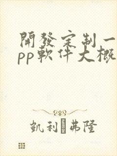 开发定制一个app软件大概多少钱