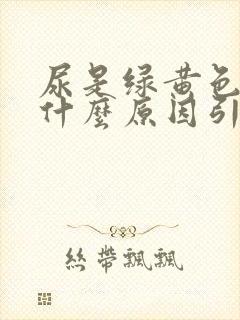 尿是绿黄色的是什么原因引起的