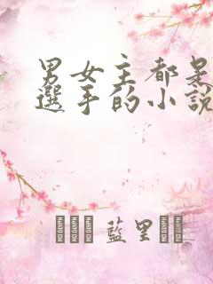 男女主都是电竞选手的小说