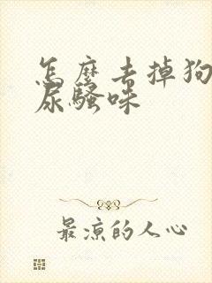 怎么去掉狗狗的尿骚味