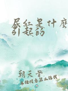 尿红是什么原因引起的