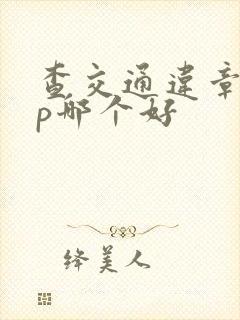 查交通违章app哪个好