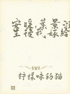 安暖,叶景淮重生后我嫁给了渣男的死对头