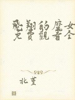 飞翔的魔女动漫免费观看全集