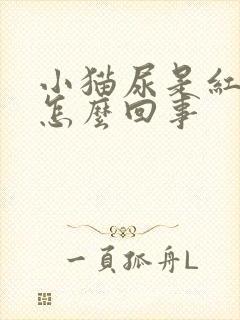 小猫尿是红色的怎么回事