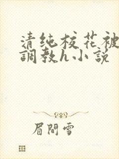 清纯校花被地狱调教h小说