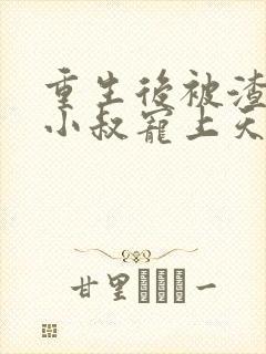 重生后被渣男他小叔宠上天短剧