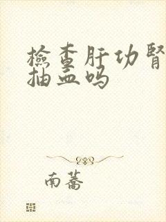 检查肝功肾功是抽血吗