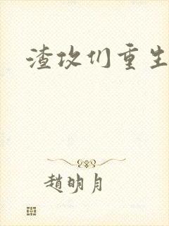 渣攻们重生以后