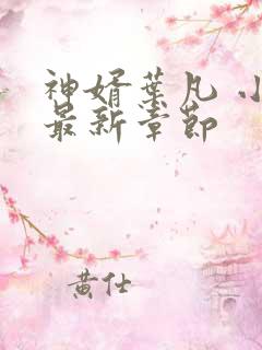 神婿叶凡 小说最新章节