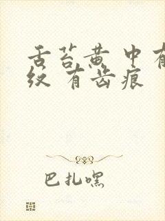 舌苔黄 中有裂纹 有齿痕