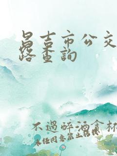 昌吉市公交车线路查询