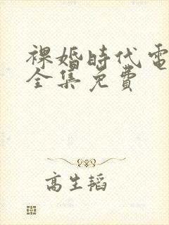 裸婚时代电视剧全集免费