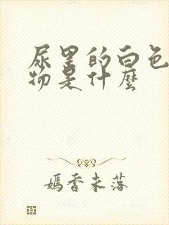 尿里的白色沉淀物是什么