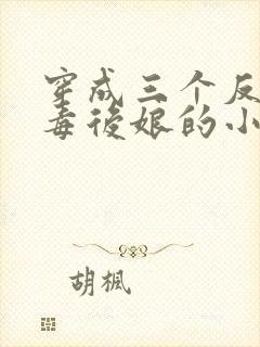 穿成三个反派恶毒后娘的小说